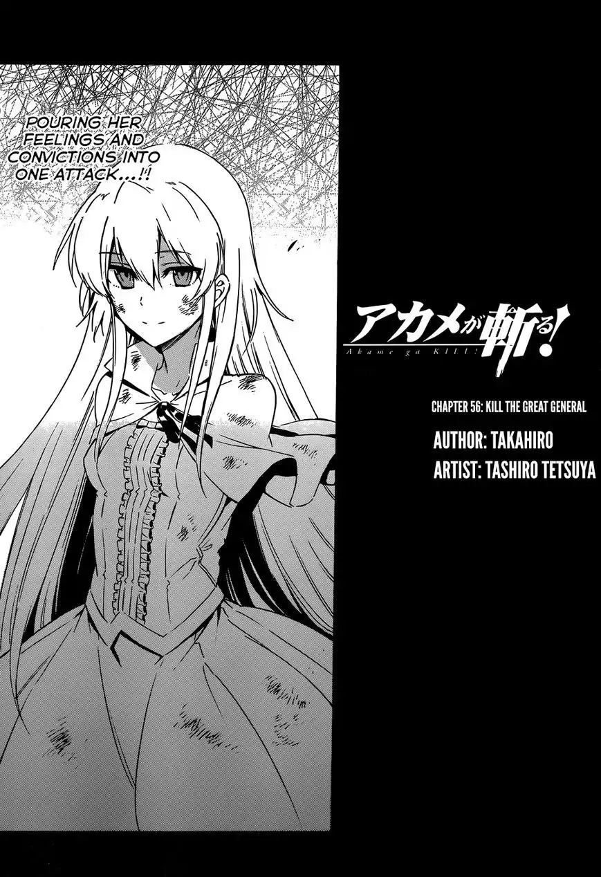 Akame ga Kill! Chapter 56 17